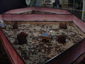 Mars yards